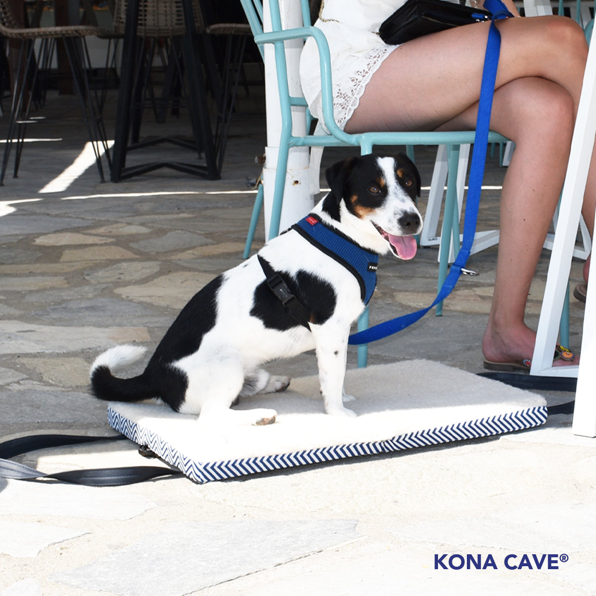 Adorable Jack Russell Terrier on a KONA CAVE® Travel Dog Bed with blue and white stripes. Dog is in an outdoor cafe with his owner sitting comfortably on his dog bed. 