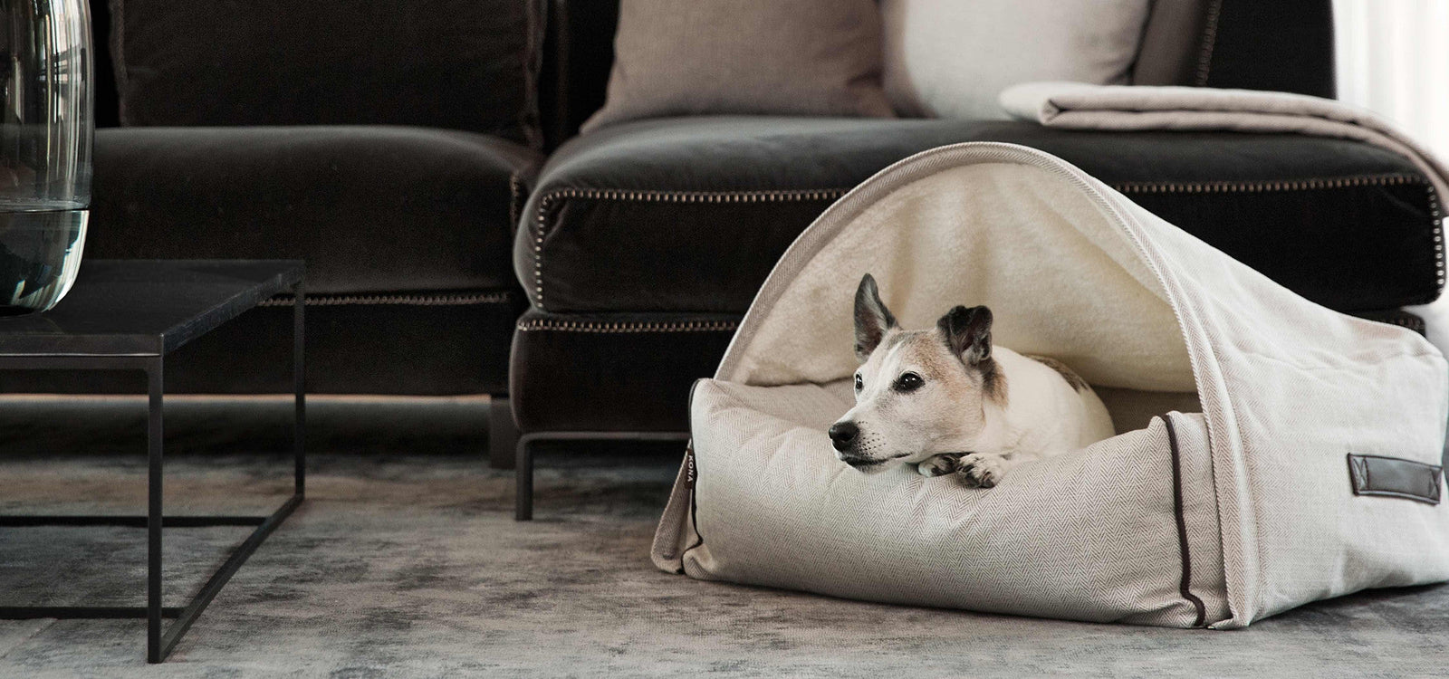 From New York to Germany and Back: The Cozy European Dog Cave Bed Shipping to the USA