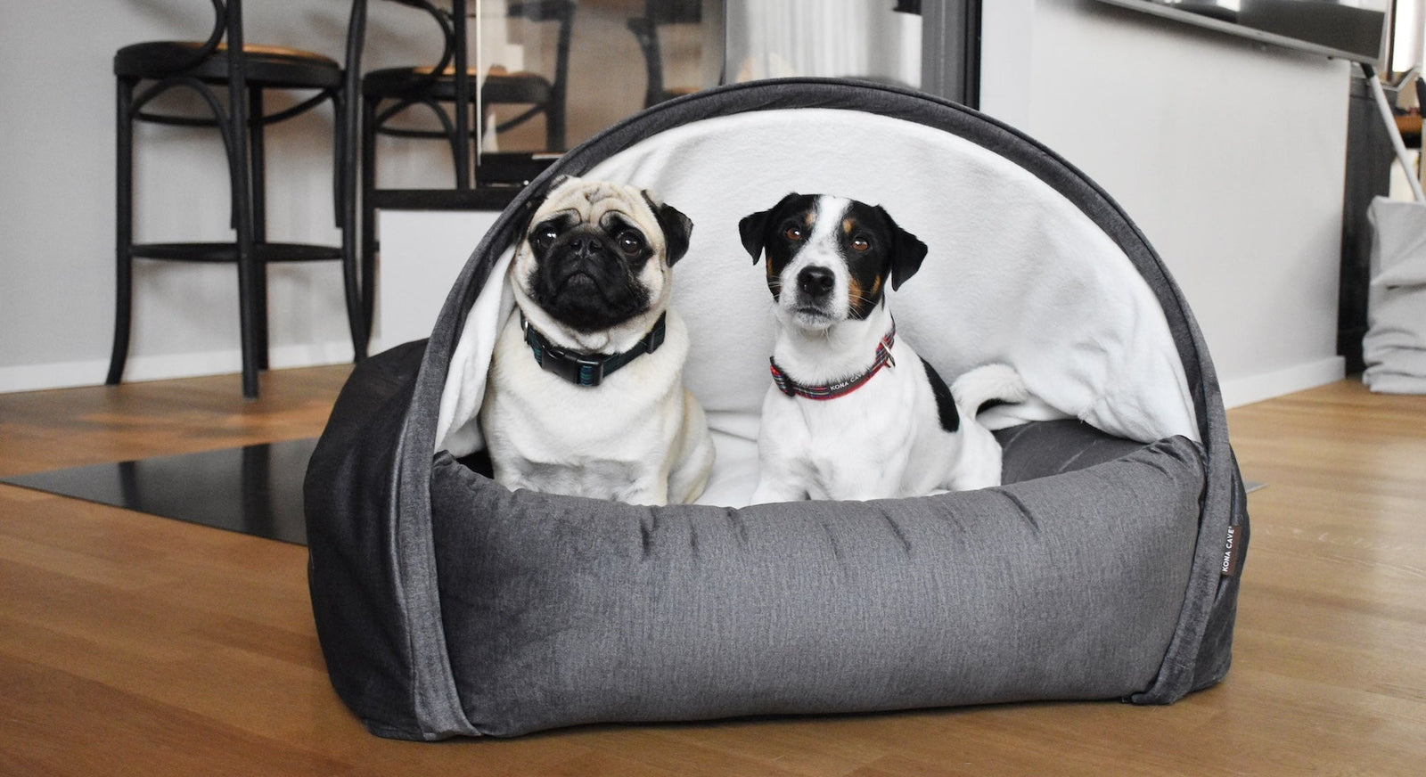 KONA CAVE® luxury velvet cozy cave dog bed with Pug and Jack Russell Terrier