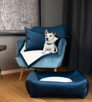 KONA CAVE® Luxusmarke für Haustiere. Waschbares Hundebett aus blauem Samt mit blauem Samtstuhl und blauer Samtdecke und Kissen für Haustiere. Abgebildet mit einem älteren Jack Russell Terrier. 