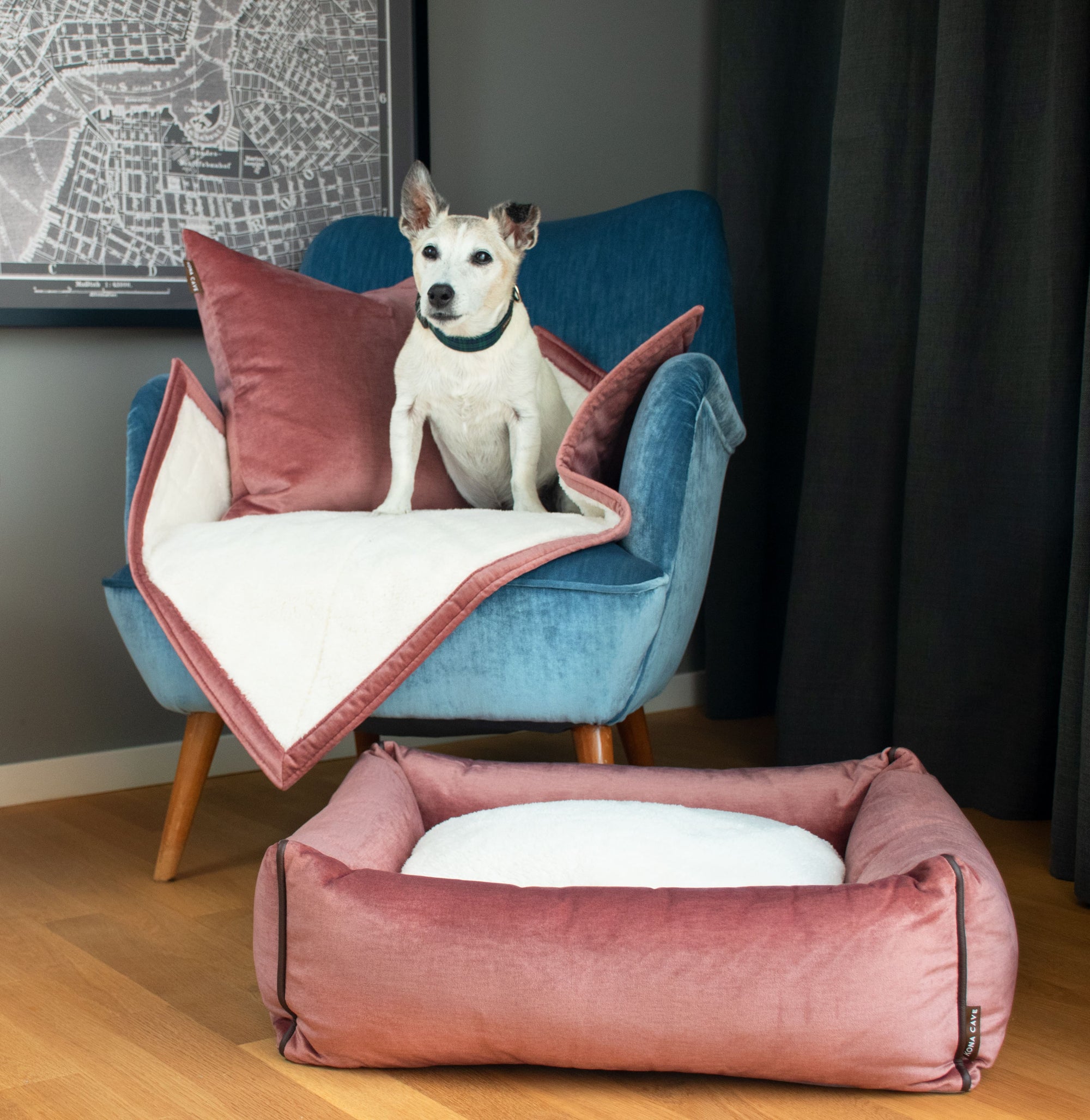 Senior Jack Russell Terrier on KONA CAVE brand Luxury Pink Velvet Blanket and Pillow with matching pink velvet dog bed.  Adorable.
