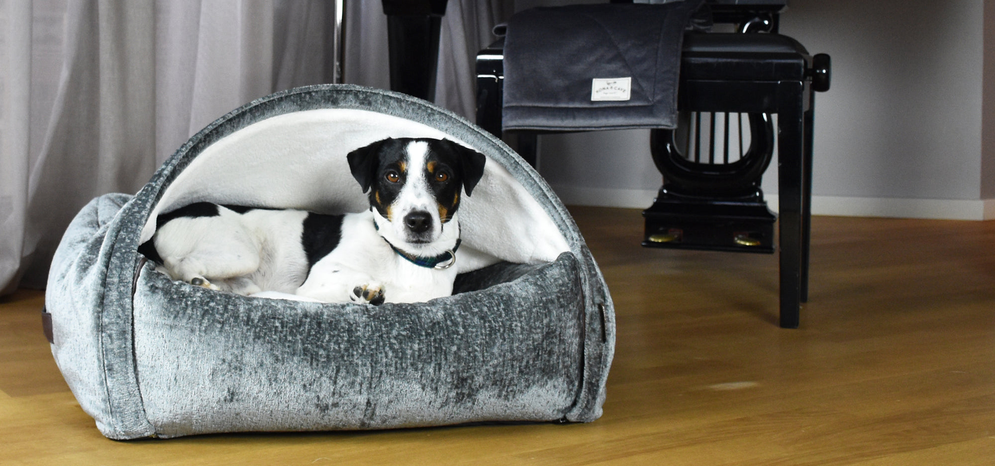 KONA CAVE® luxury canopy cave bed for dogs in grey velvet. Velvet dog bed in front of a Steinway baby grand piano.  Gorgeous try-color JRT sitting in the burrow den bed. 
