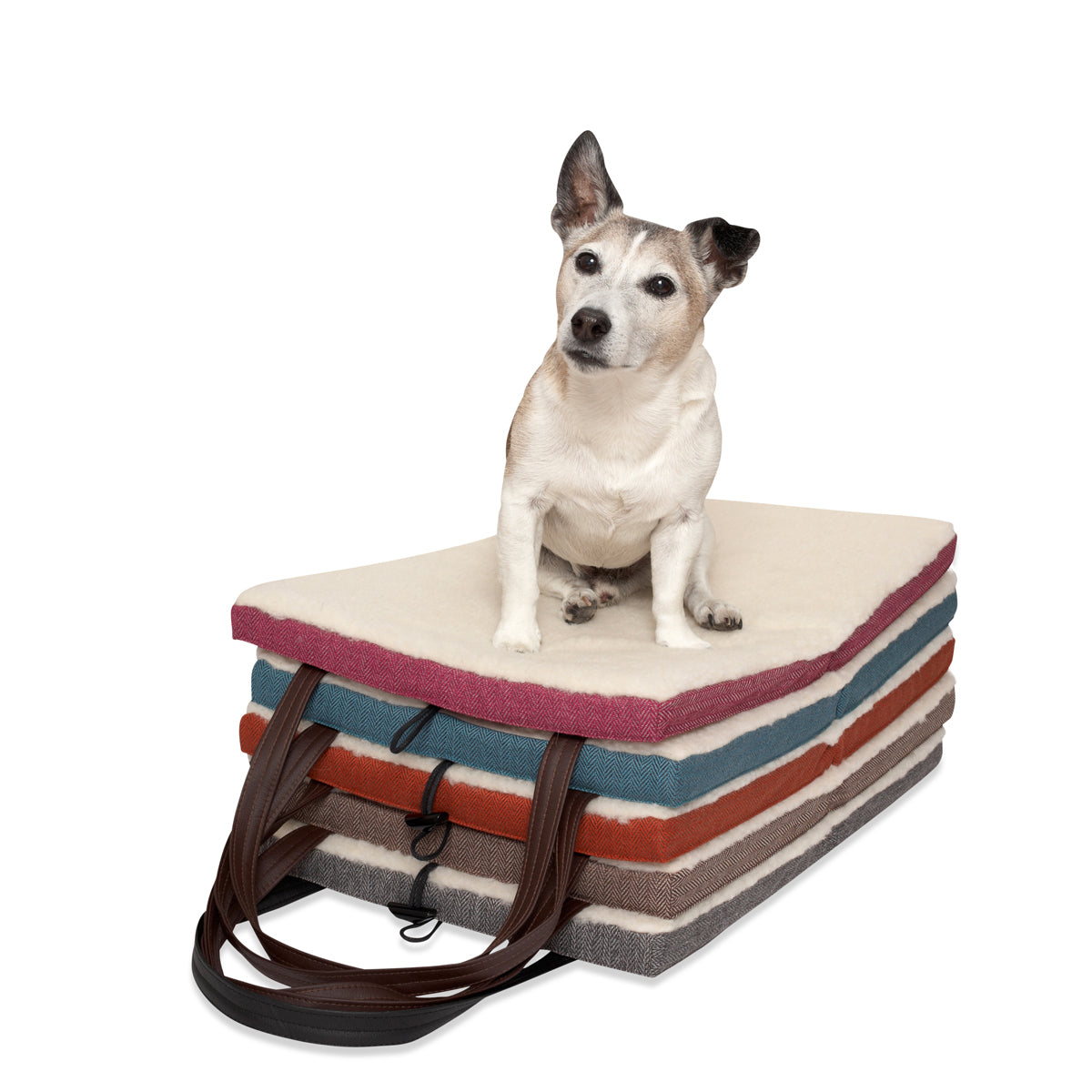 KONA CAVE® Folded portable dog beds stacked on top of each other. Brightly colored mats stacked on top of each other with a Jack Russell Terrier sitting on the top of the bed pile. 