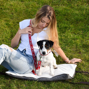 Portable dog bed. Folded, zips closed. Carried by long shoulder straps, handles. Ideal for restaurants, travel and parks. Jack Russell Terrier.
