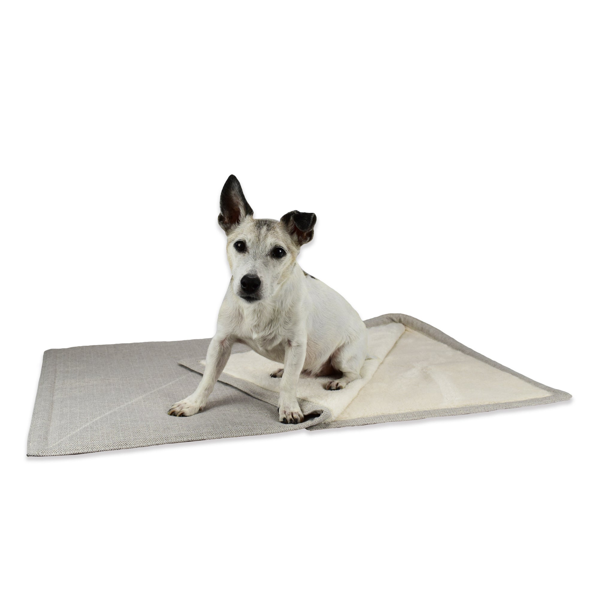 Kona the Jack Russel Terrier enjoys doing yoga on his Cream Herringbone Furniture Blanket with super soft Sherpa fleece lining